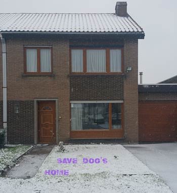 Woning-loc-snow-front-save-dogshome-